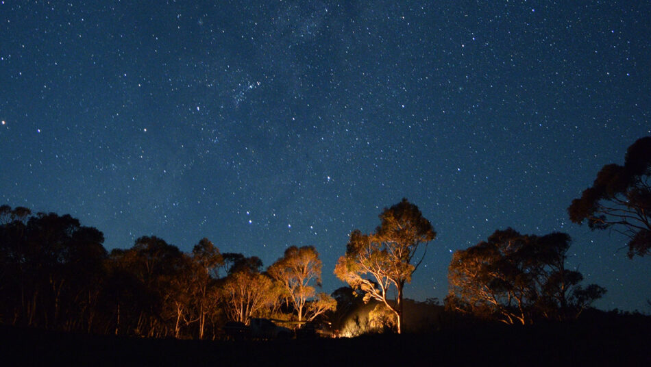 Australia stars