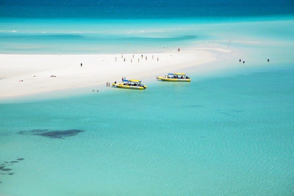 Image of Whitehaven beach in Australia