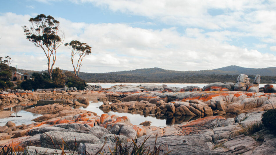 Bay of Fires, Tasmania, Australia