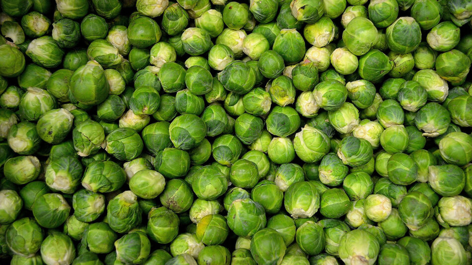 brussel sprouts. A Christmas food popular in the uK.