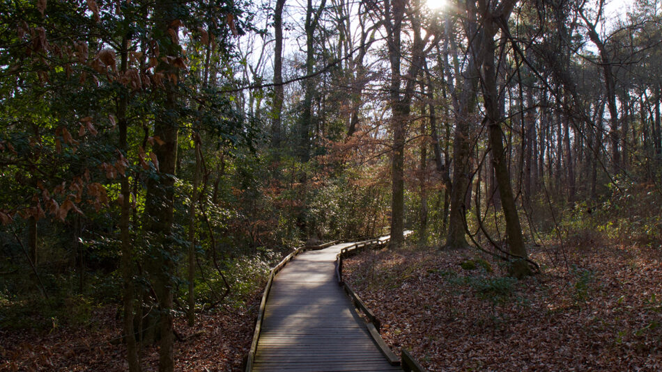 Congaree National Park