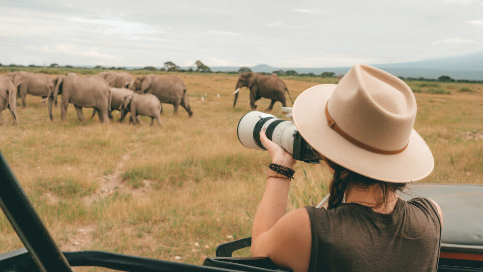 Nadine photographing elephants in East Africa