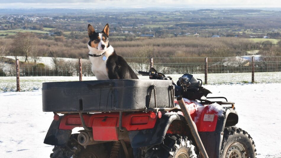 Glenshane Country Farm