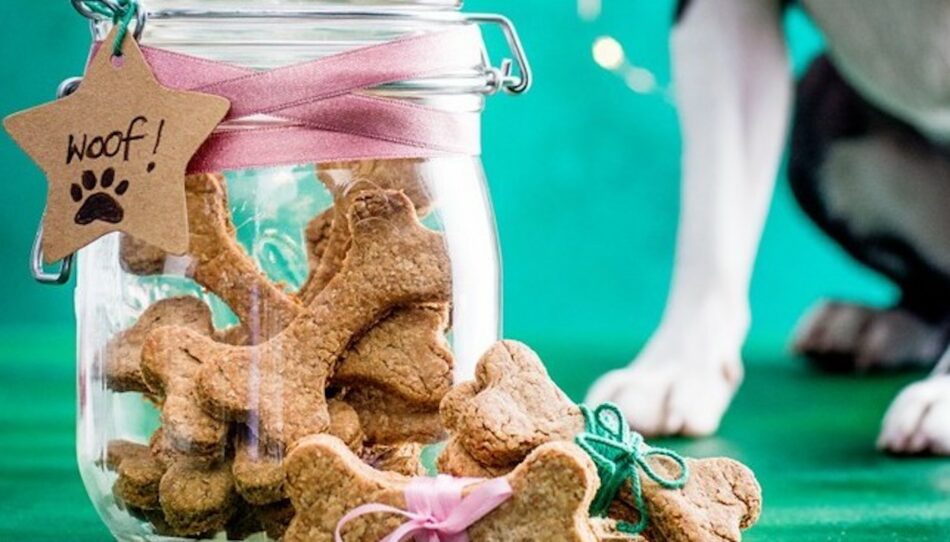 DIY Christmas dog treats