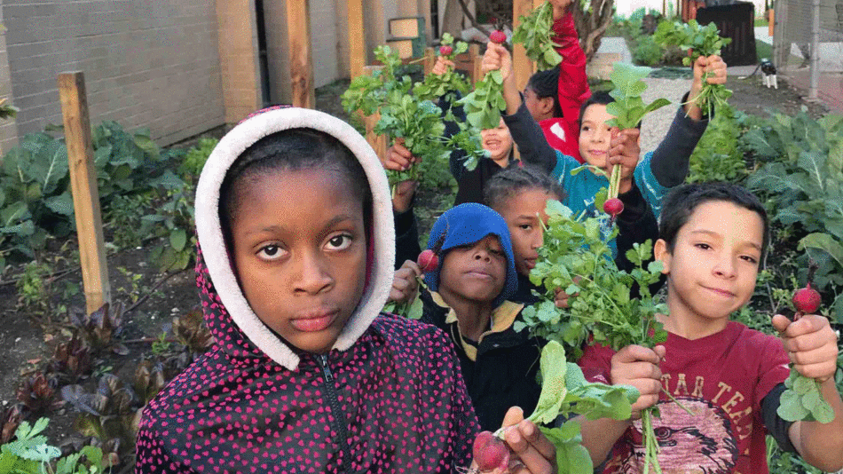 A group of children experiencing US food in a garden, holding vegetables.