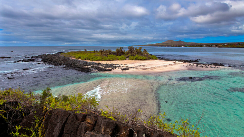 Galapagos