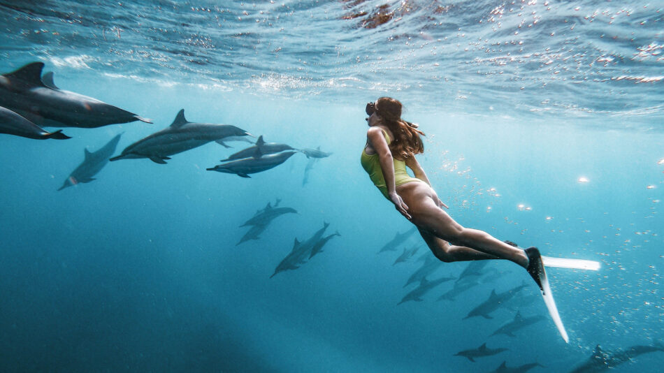 Mauritius swimming with wild dolphins