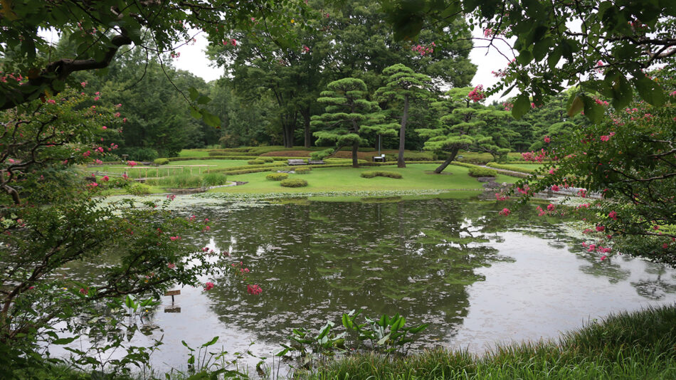 Garden-Japanese-forest-bathing