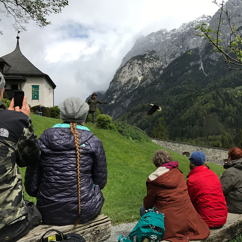 Hohenwerfen-eagle-Munich-day-trips