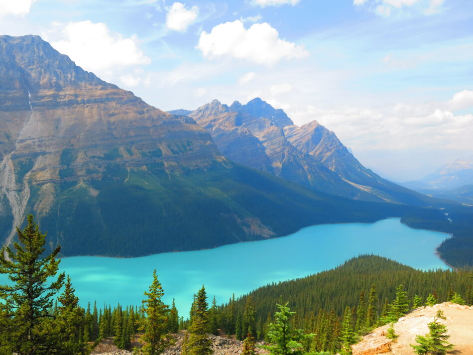 Image of Lake Peyto - Canada and the rockies