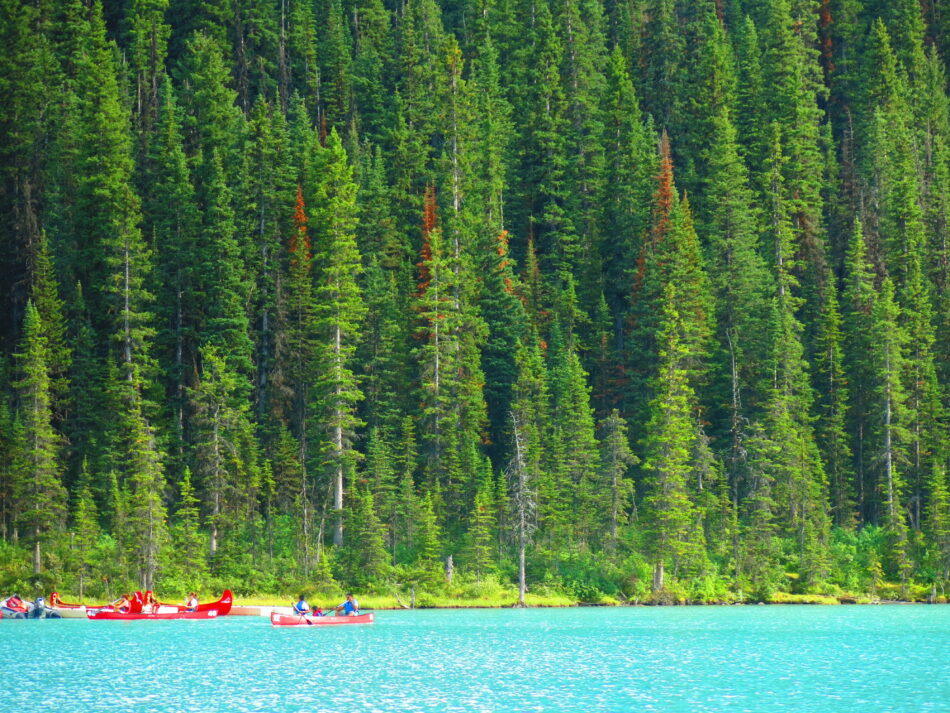 Image of lake in Canada