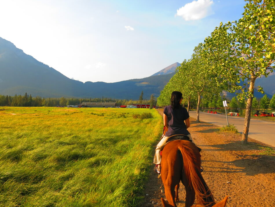 Canada and the rockies - Banff horseriding