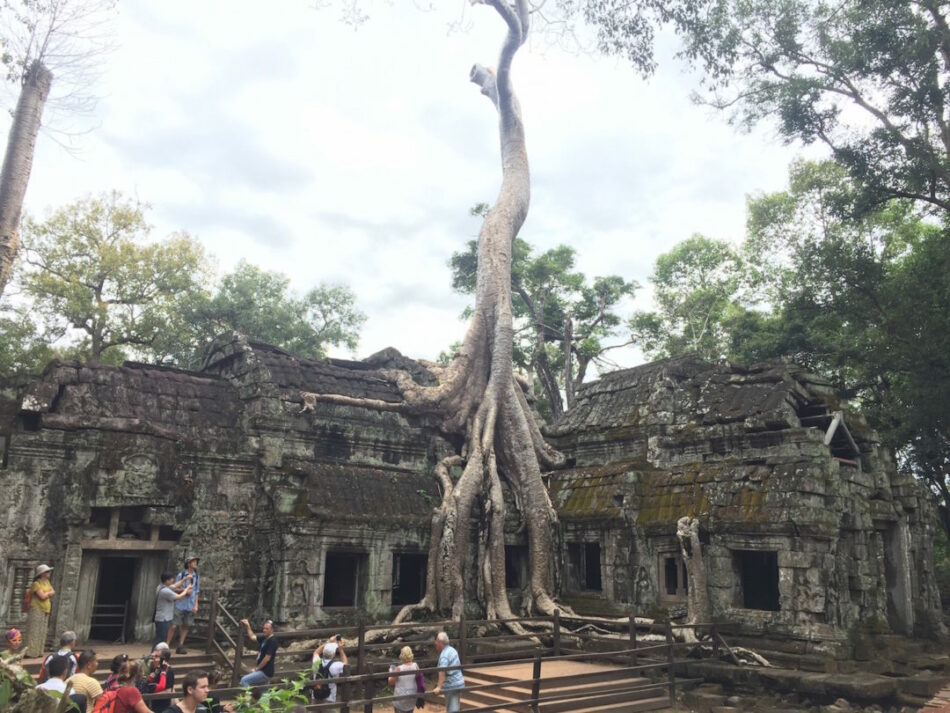 Angor Wat corner