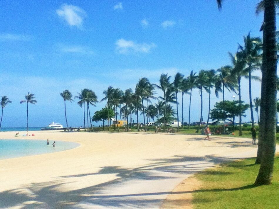 A beach in Hawaii with palm trees and a path leading to the water.