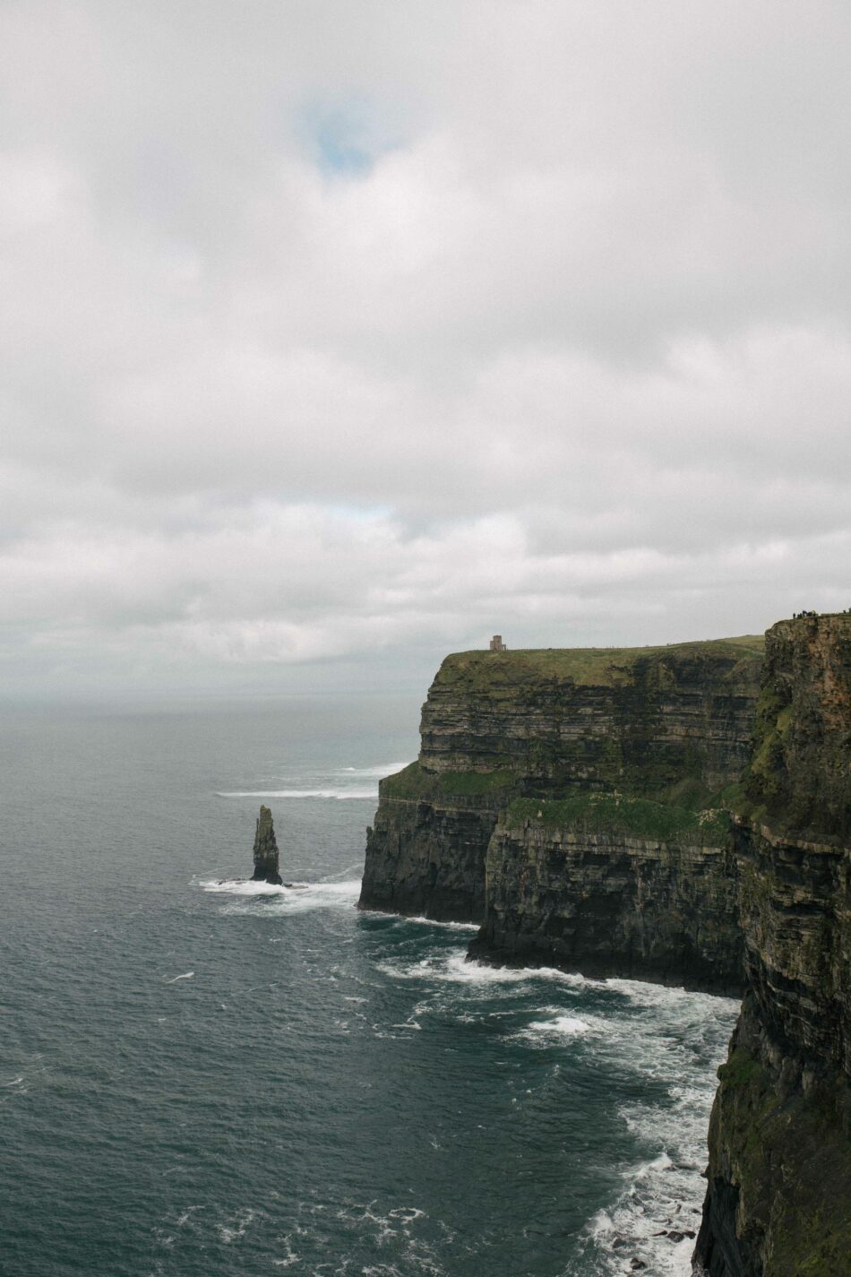 Cliffs of Moher showcasing Irish roots in Ireland.