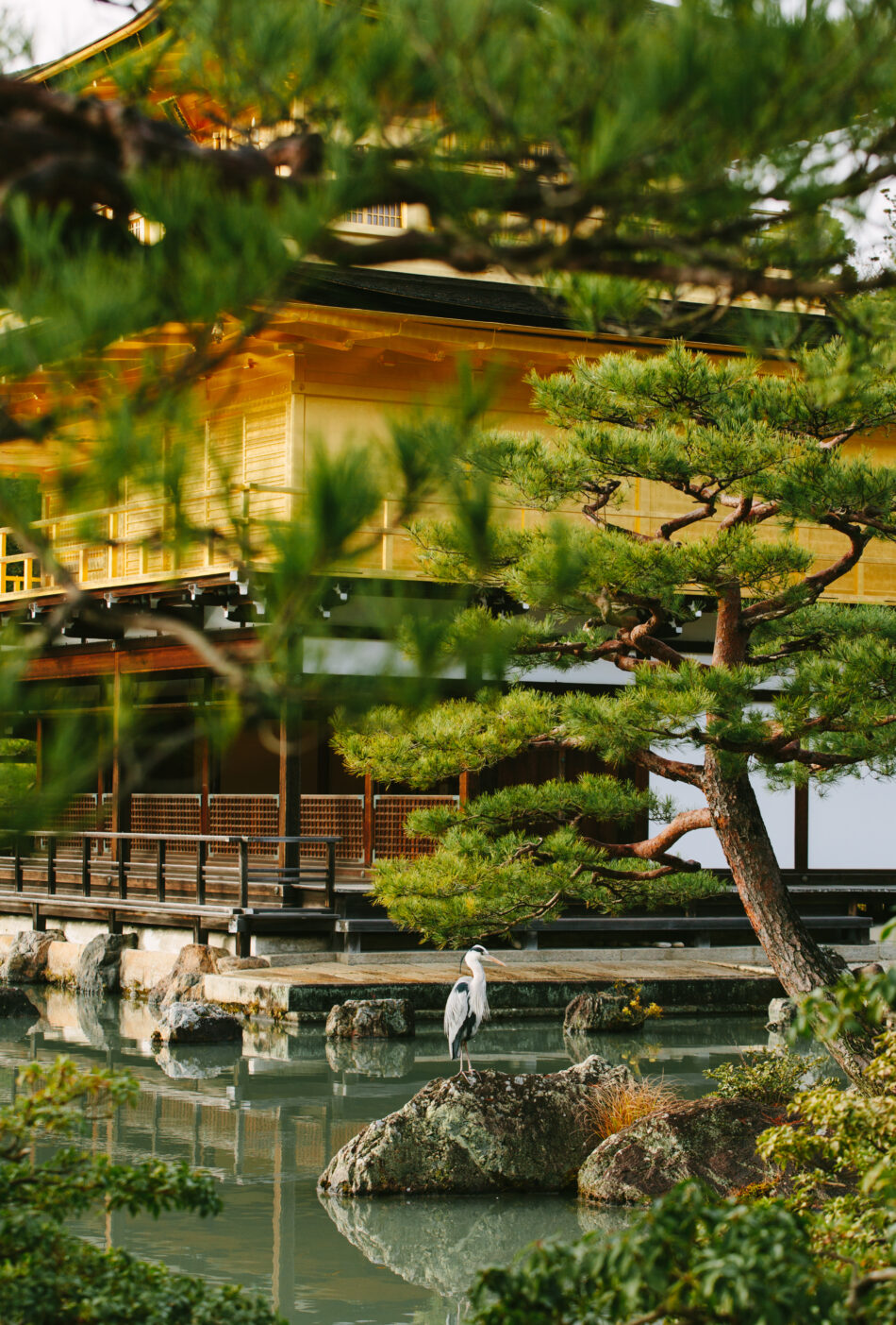 Traditional Japanese wooden palace with heron in foreground