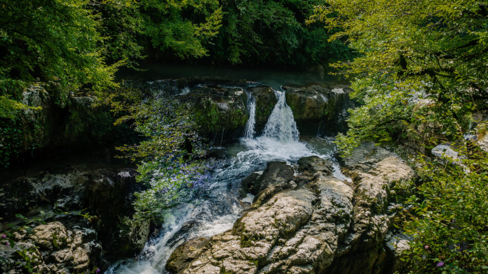 A waterfall in the middle of a lush green forest.