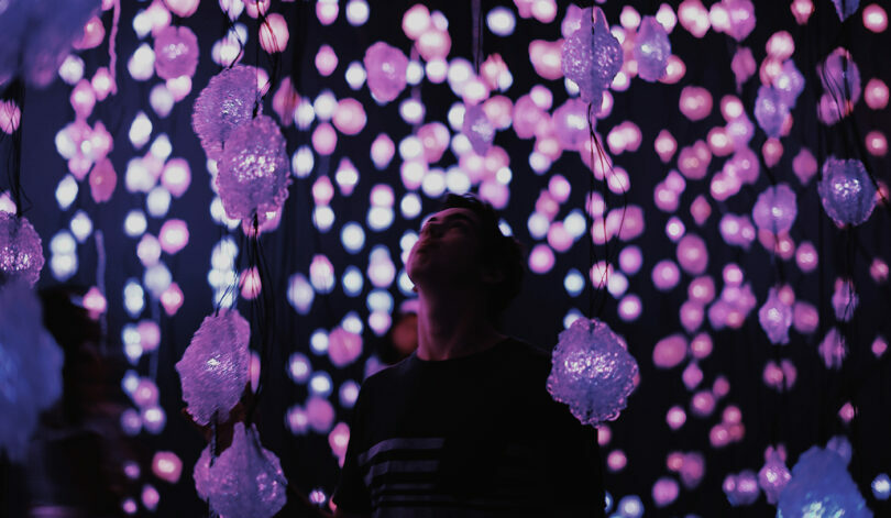 An Australia travel guide standing in front of a purple light installation.