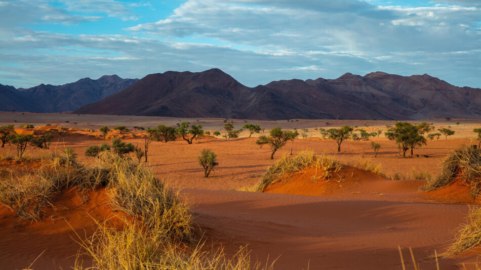 Namibia Desert