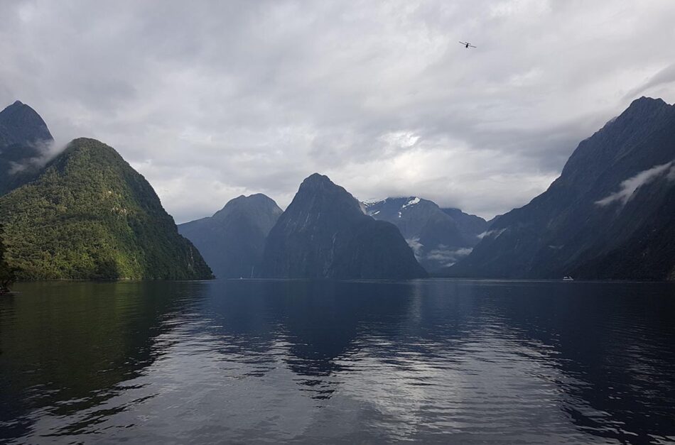 milford sound contiki