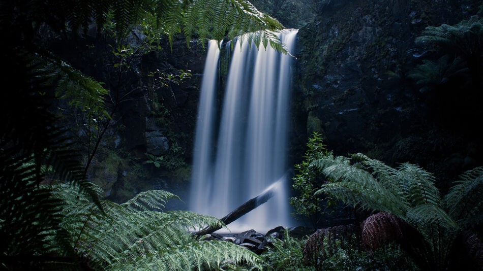 A waterfall in a dark forest.