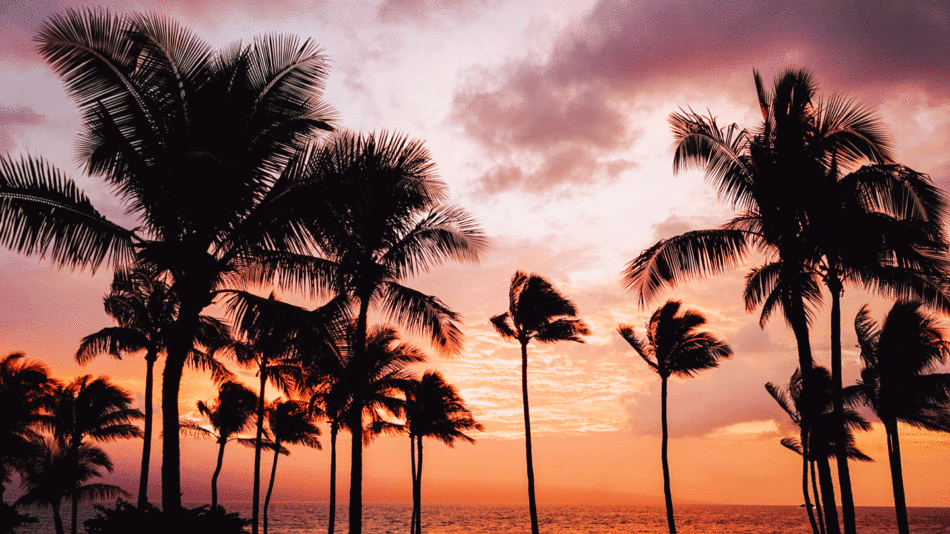 Hidden gems in Hawaii: A stunning sunset over the ocean, framed by majestic palm trees.