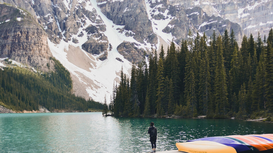 A person standing on a dock next to a lake.