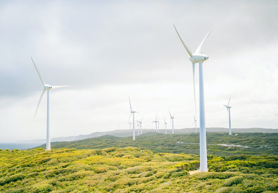 Wind farm in USA