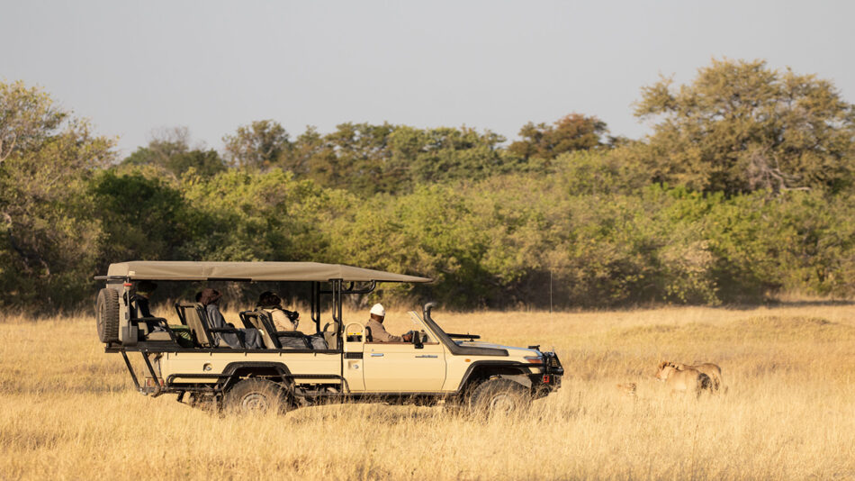 Safari Africa