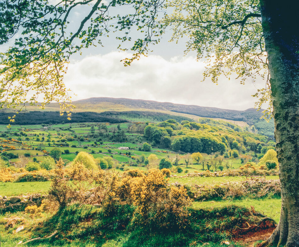 Slieve Gullion in Northern Ireland