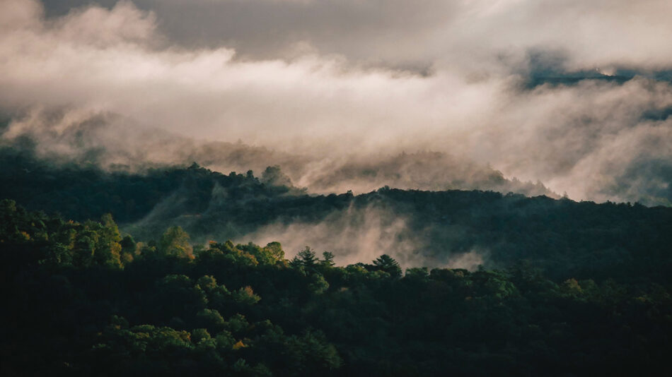 Majestic clouds hover over a serene forest in the scenic mountains, creating an awe-inspiring landscape in one of the best national parks.