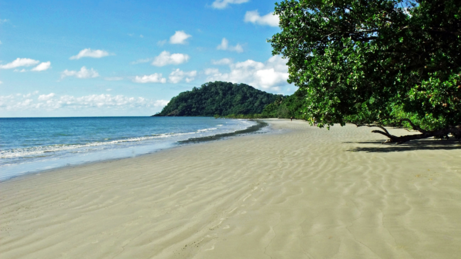 One of the best places to visit in Australia, this sandy beach showcases beautiful trees and an expansive ocean in the background.