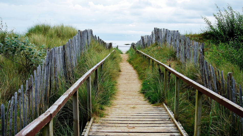 St Andrews Beach