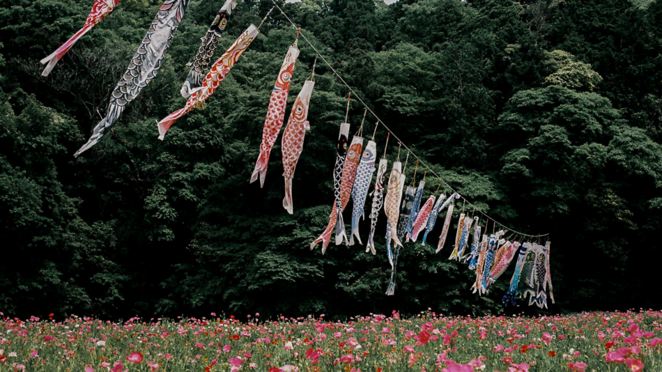 Kites hanging in a field of flowers.