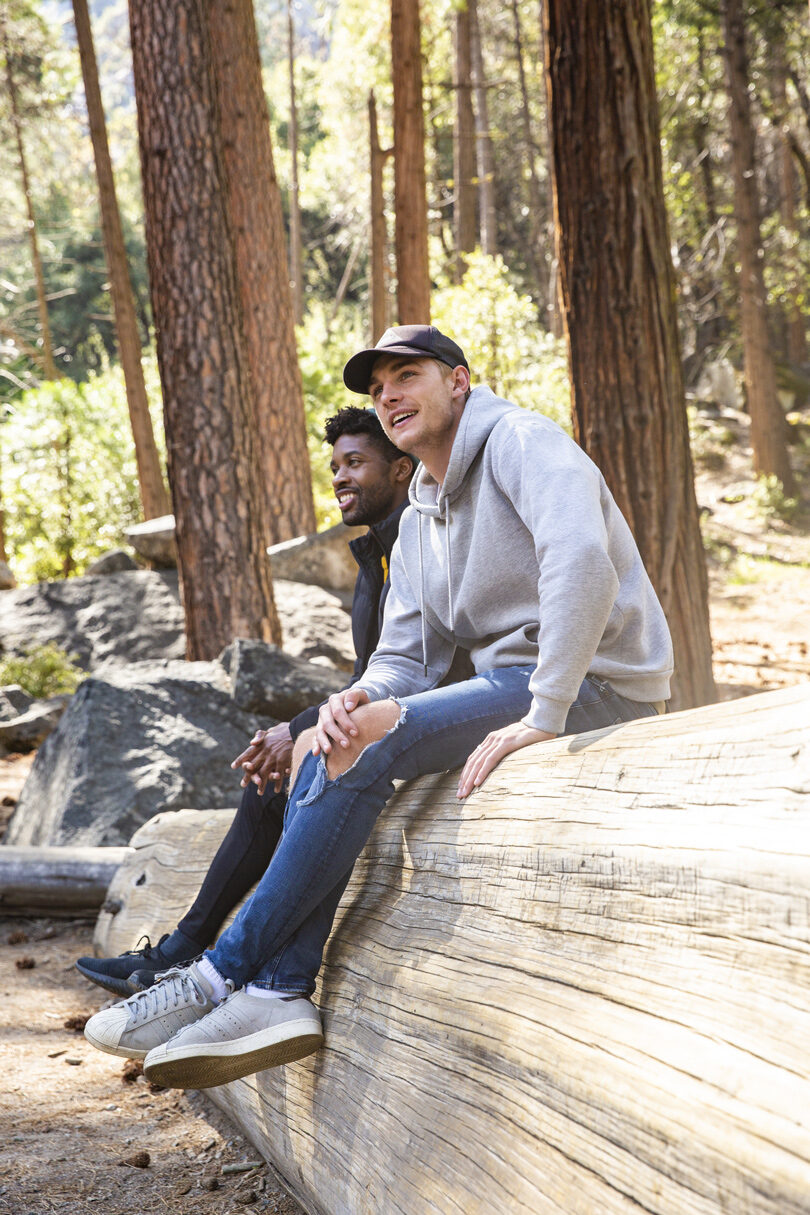 yosemite-trees