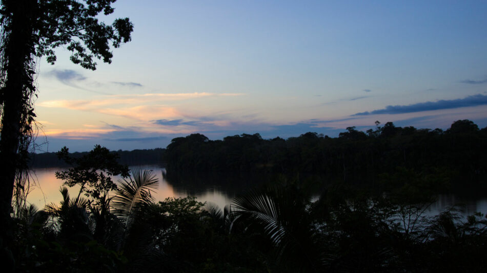 Amazon, Peru