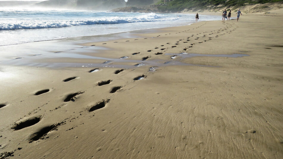 Plettenburg Bay Beach South Africa