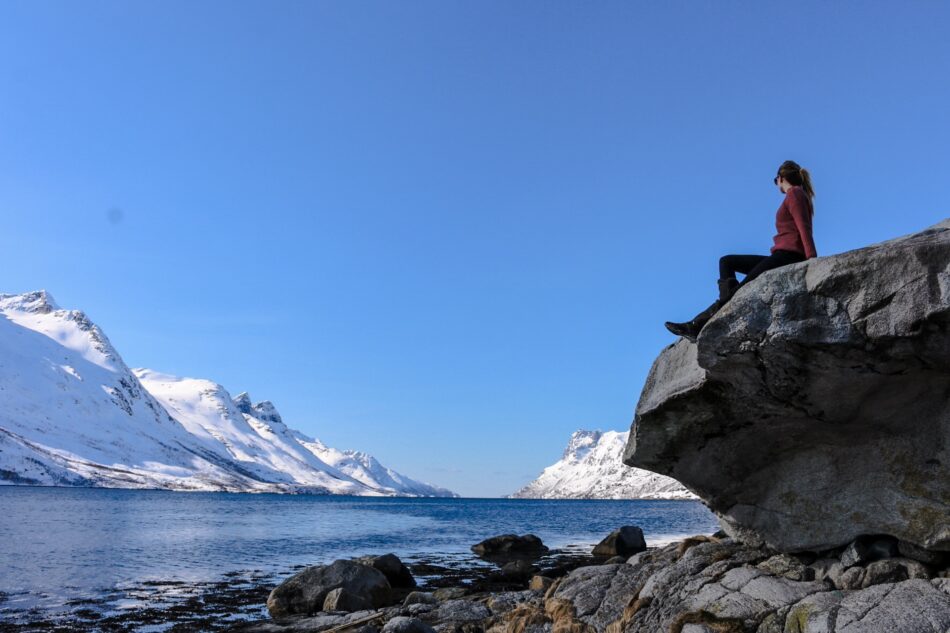 bec on rock