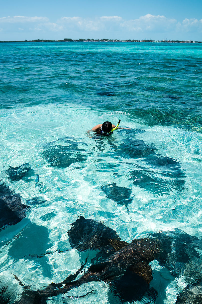 beliza-snorkelling-caye-caulker