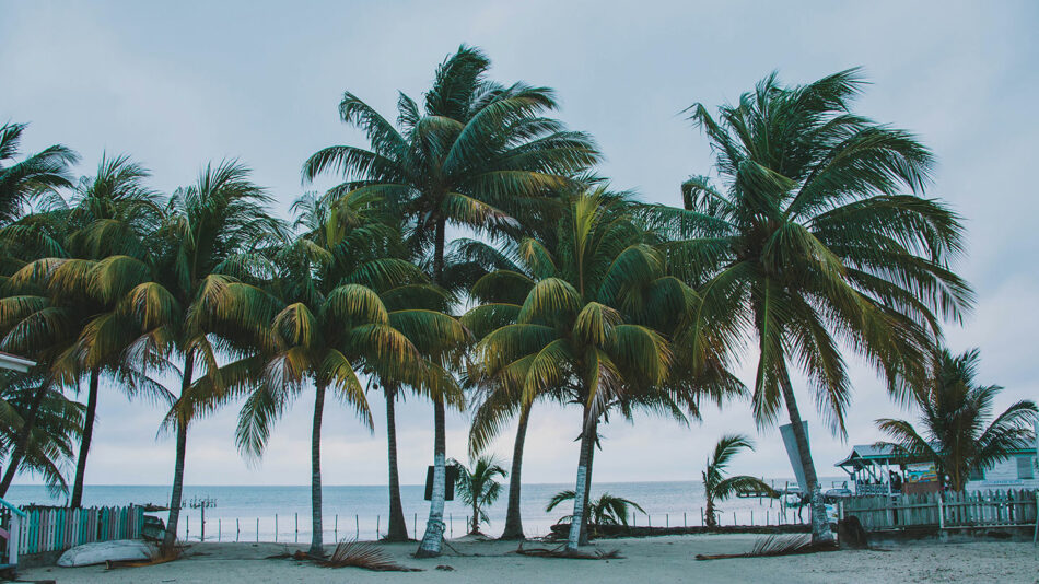 belize beach