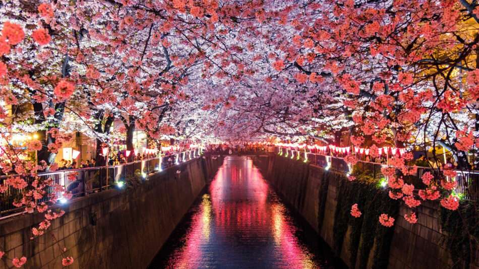 best-season-japan-travel