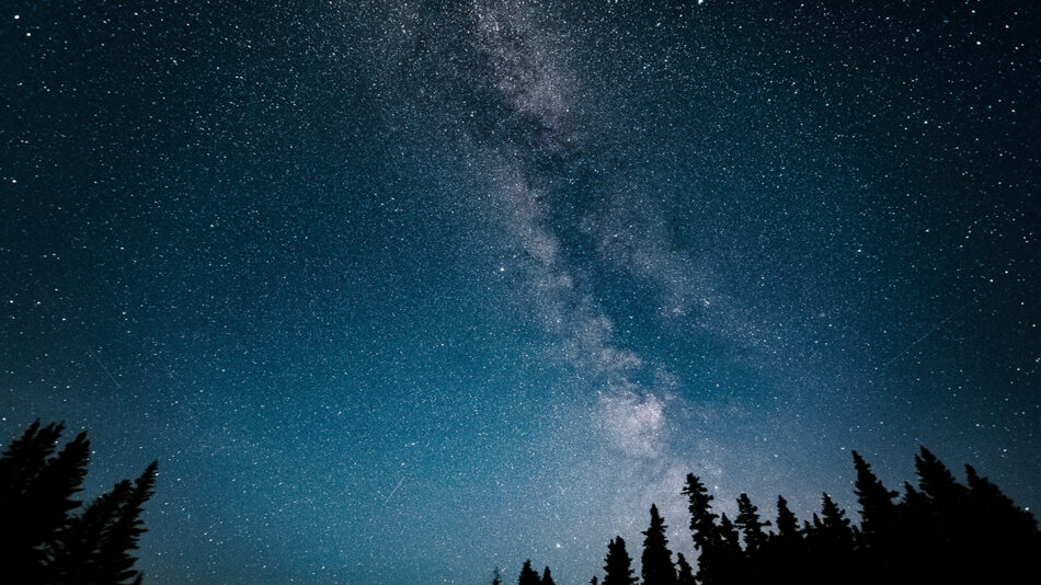 The milky in the night sky above a forest.