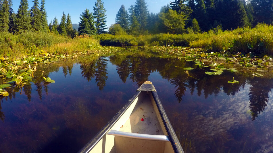 canoeing in Alberta