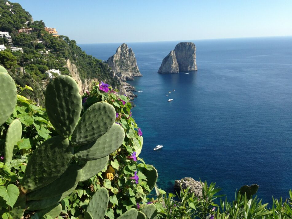 A cactus atop an Italian rock.