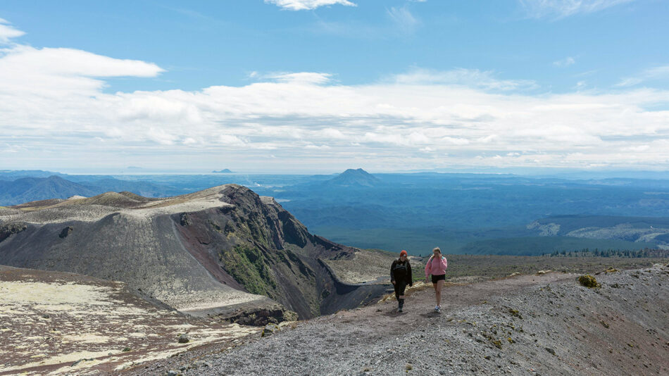 contiki-new-zealand