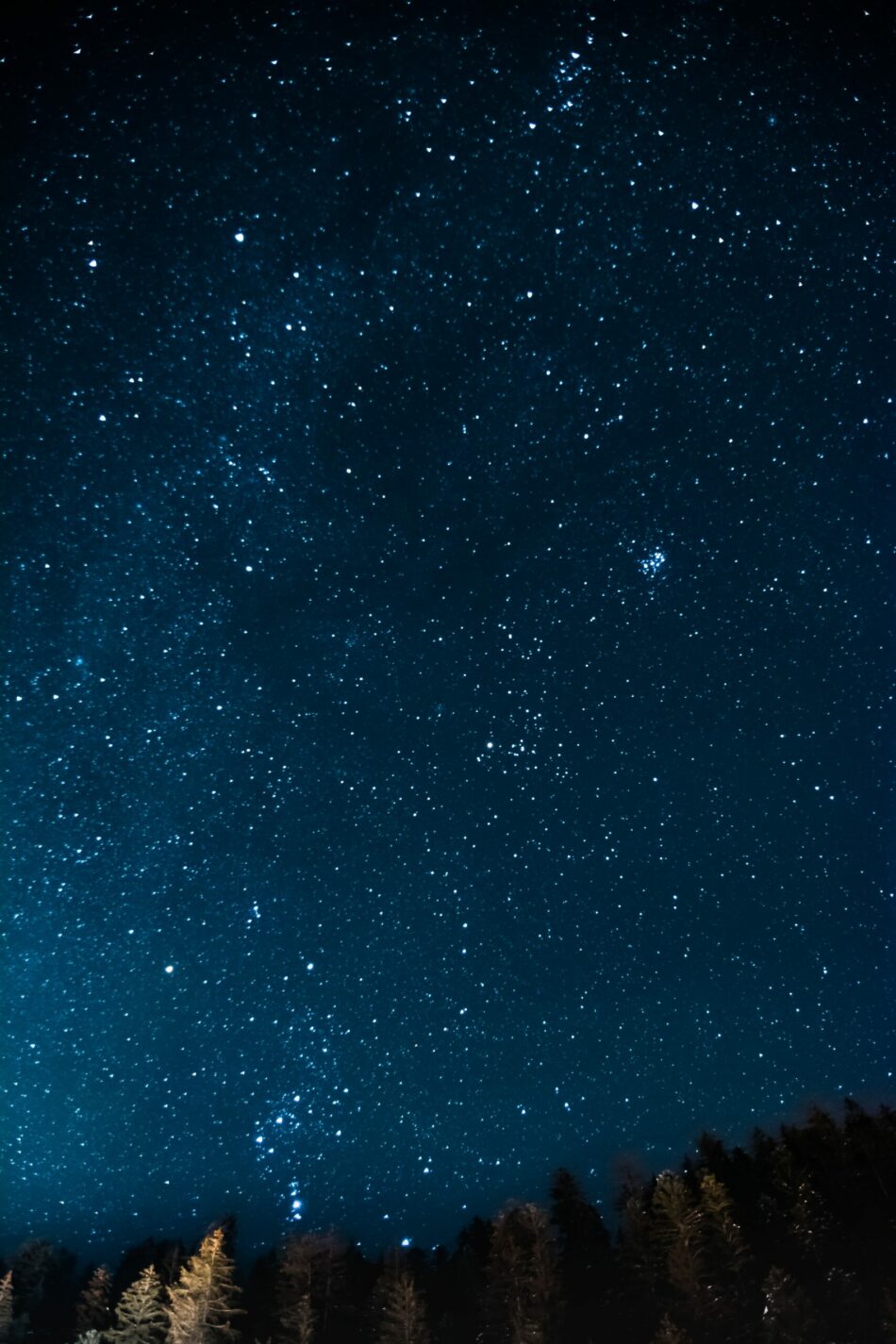 A night sky with stars and trees in the background.