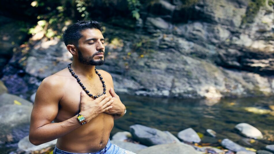 The Dosha, Ayurvedic wellness, Darius Bashar