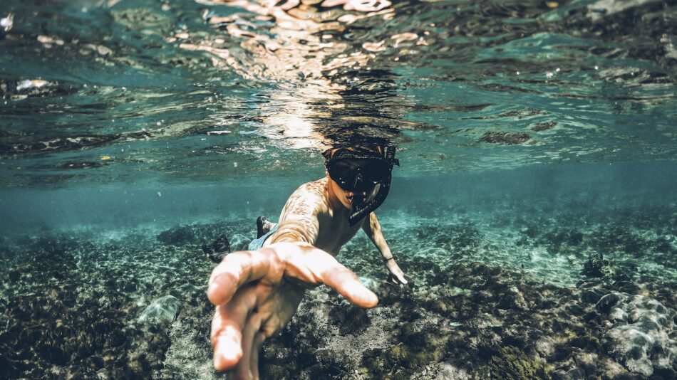 Snorkelling Gordons Bay