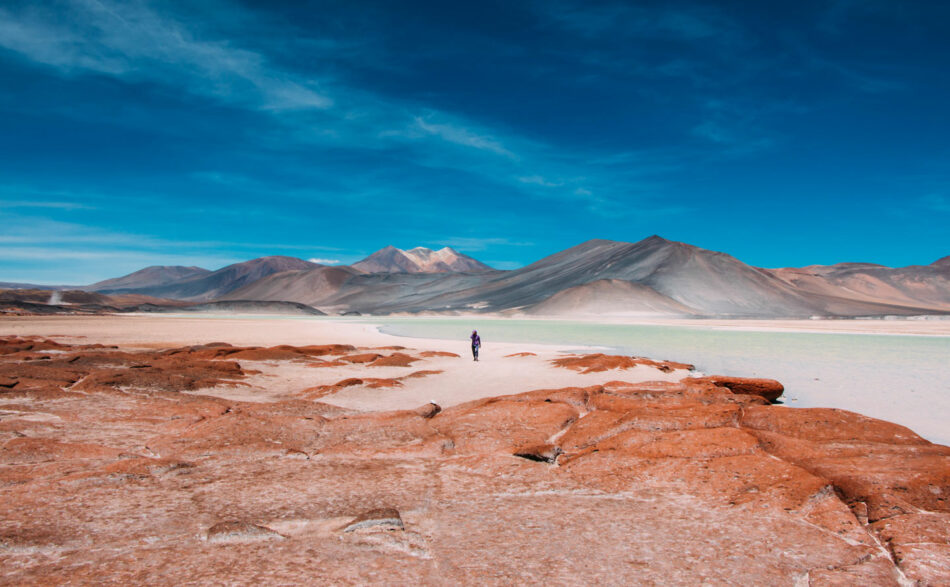 A person standing in the middle of a desert with mountains in the background, contemplating gap year ideas.