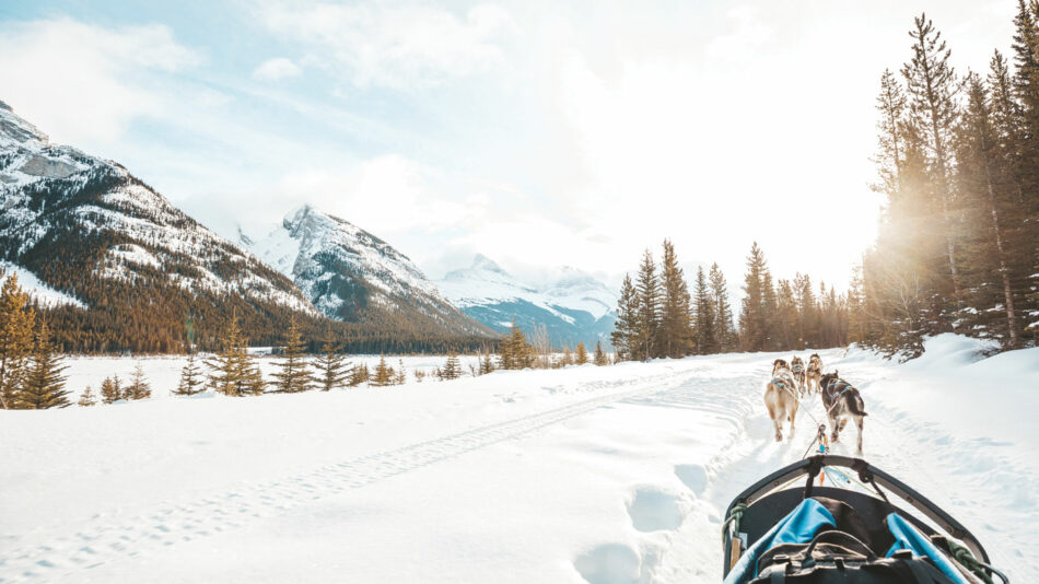 winter sports in canada - dog sled